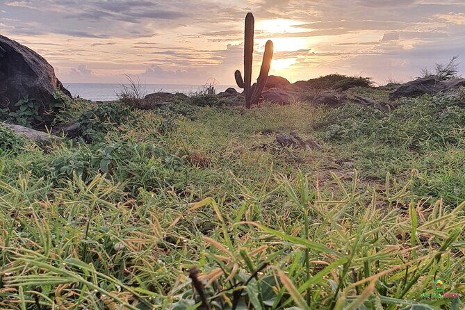Private Guided Beach Meditation & Hike + Transfer - Who Would Love This Tour?
