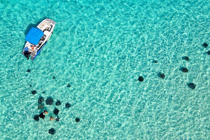 Private, Guided Boat Charters in The Cayman Islands - Overview of the Experience