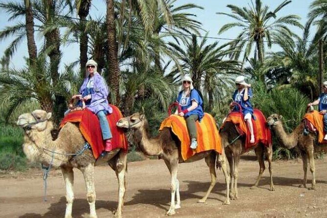 Private Guided City Tour to Discover The Medina or Old Town of Marrakech - Unpacking the Itinerary: What to Expect from This Marrakech Tour