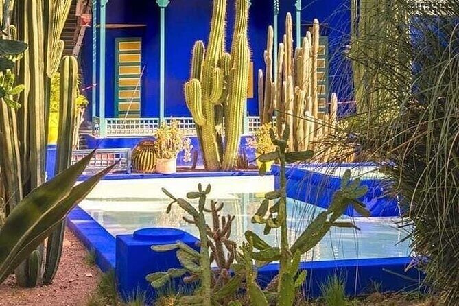 Private Guided City Tour to Discover The Medina or Old Town of Marrakech - The Sum Up
