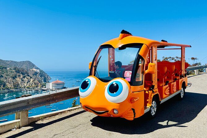 Private Guided City Tour up to 12 Passengers - An In-Depth Look at the Catalina Island Private Golf Cart Tour