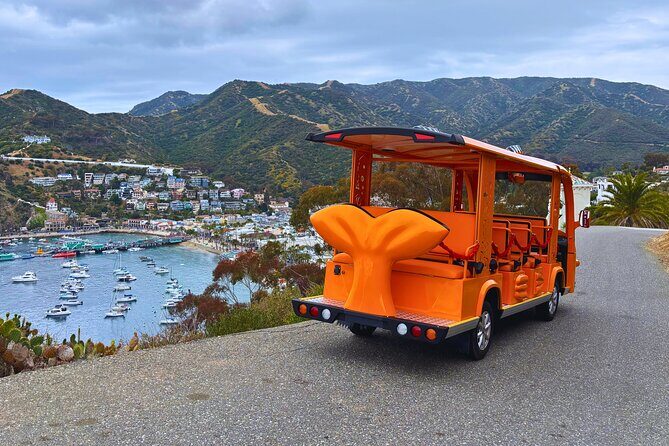 Private Guided City Tour up to 12 Passengers - The Sum Up
