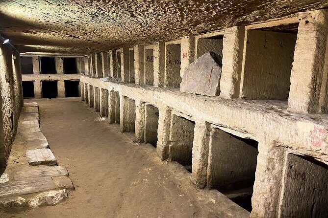 Private Guided Day Tour to Alexandria from Cairo + Lunch - Who Is This Tour Best For?