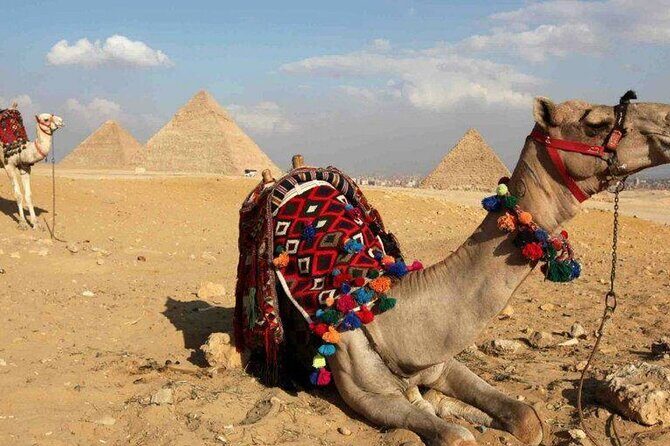 private guided day tour to Cairo from hurghada by private coach - FAQ