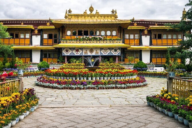 Private Guided Dharamshala Tour with Scenic Views & Lunch - Introduction: Why This Tour Might Be Your Perfect Dharamshala Day