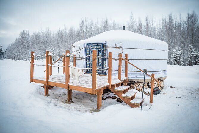 Private Guided Dog Sledding on the Historic Yukon Quest Trail - Evaluating the Value and Cost