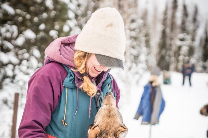 Private Guided Dog Sledding on the Historic Yukon Quest Trail - Who Should Consider This Tour?