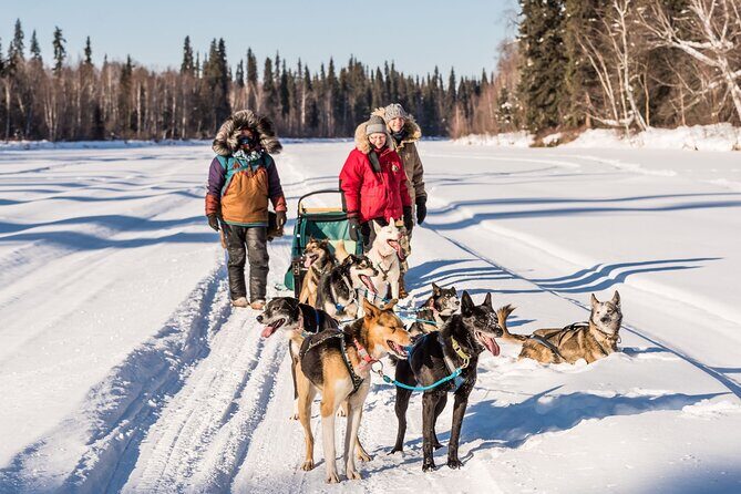 Private Guided Dog Sledding on the Historic Yukon Quest Trail - The Sum Up