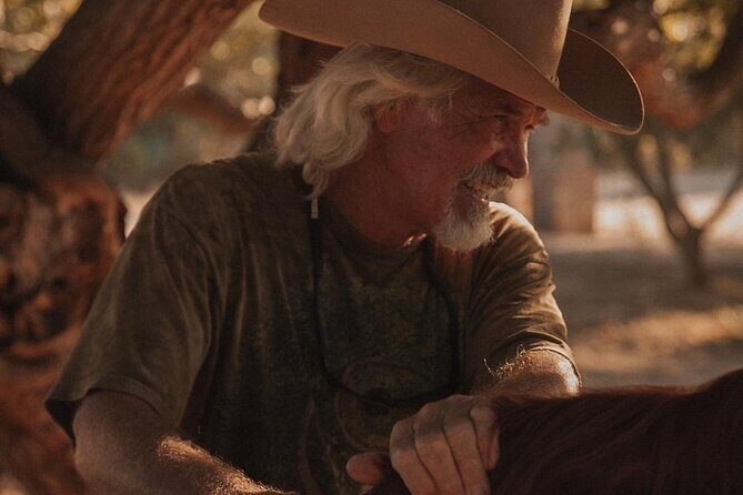 Private Guided Equine Meditation in Baja California - Key Points