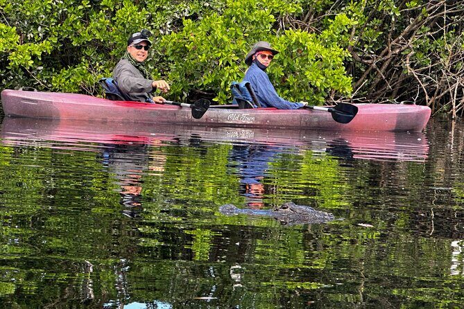 Private Guided Everglades Kayak Tour - Key Points