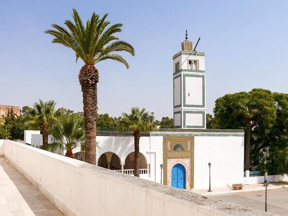 Private Guided Excursion Tunis, Carthage and Sidi Bou Said from Hammamet - Key Points