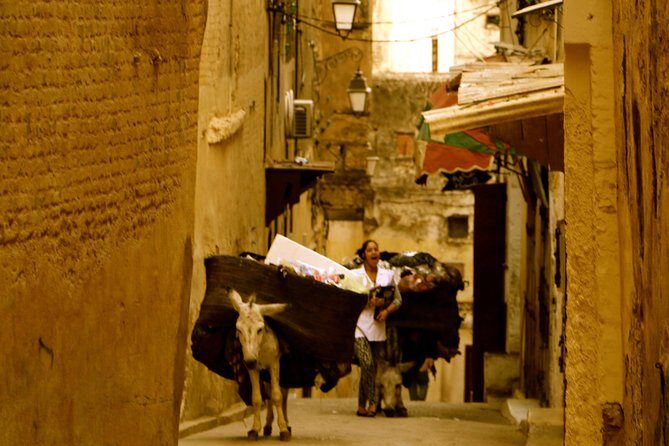 Private Guided Full-Day Tour of Fez - Who Will Love This Tour?