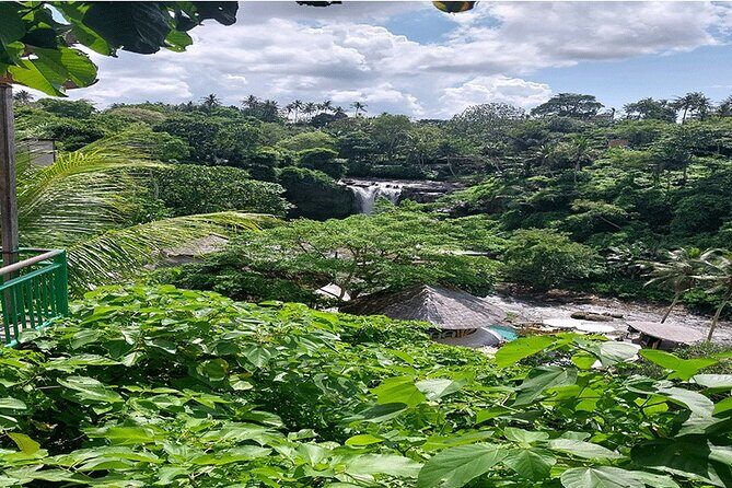 Private Guided Full Day Ubud Tour - Practical Details and Insights