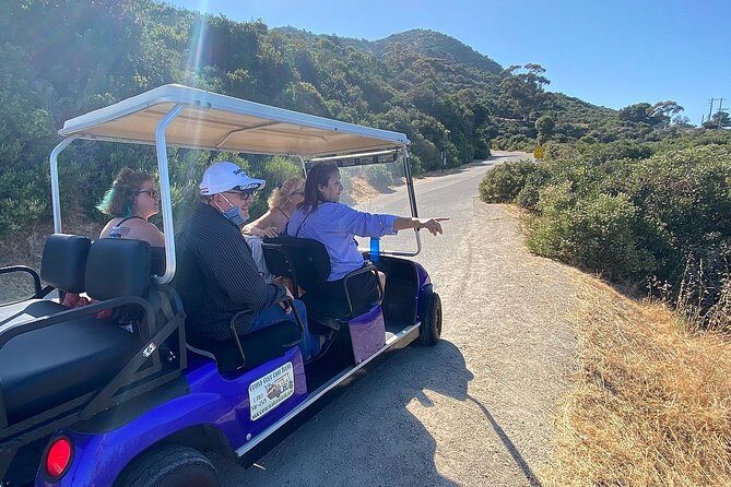 Private Guided Golf Cart Tour of Avalon - Price and Value: Is It Worth It?