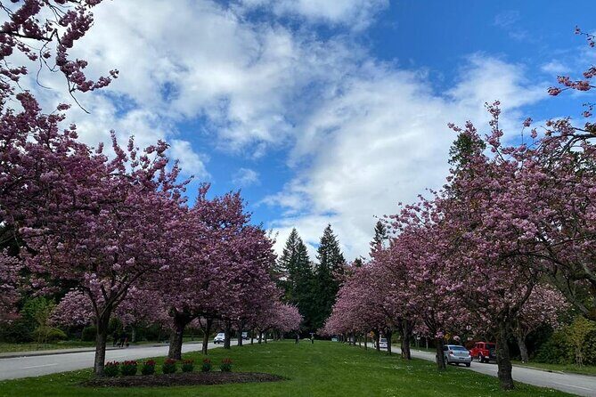 Private Guided Grand City Tour in Vancouver - Final Thoughts