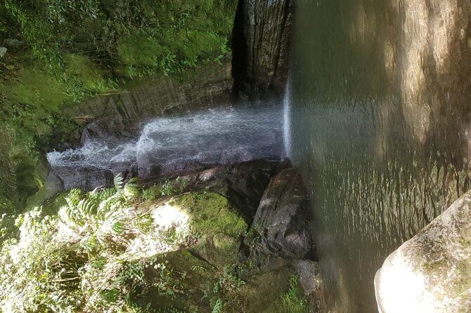 Private Guided Group Full-Day Water Tour fr Kingston to Portland - The Sum Up