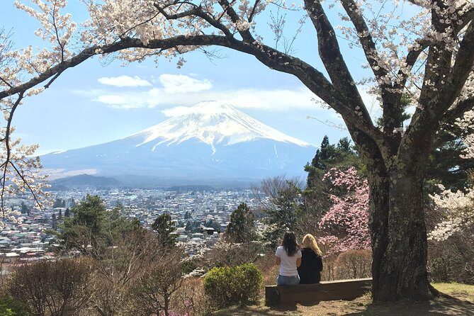 Private guided hidden gems tour by local English speaking driver - Discover the Hidden Gems of Mount Fuji on a Private Guided Tour