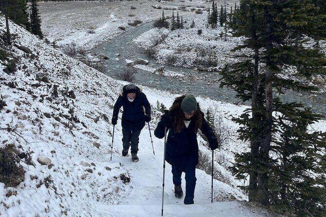Private Guided Hike: Adventure & Wellness in Banff - Price and Value Consideration