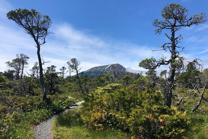 Private Guided Hike in Sitka, Alaska - The Scenery: Wilderness and Views That Stick with You