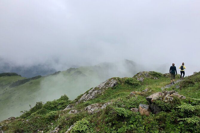 Private Guided Hike in Sitka, Alaska - Value Breakdown: Is It Worth the Price?