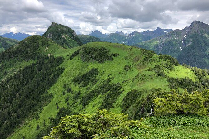 Private Guided Hike in Sitka, Alaska - Who’s This Tour Best For?