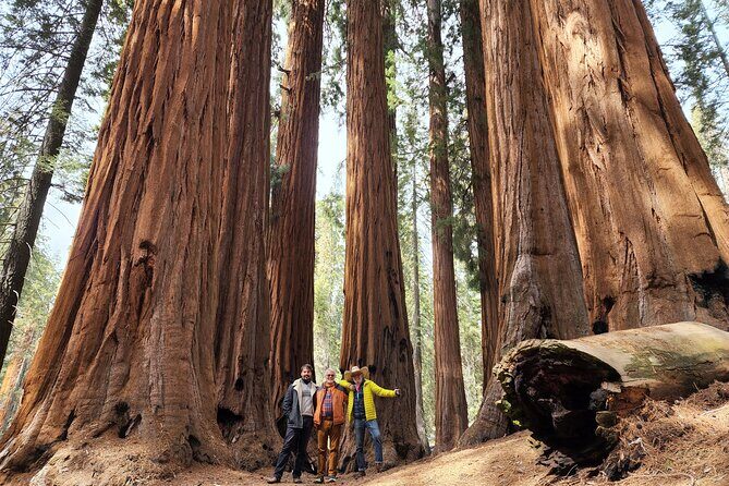 Private Guided Hiking Tour - Sequoia National Park - Key Points