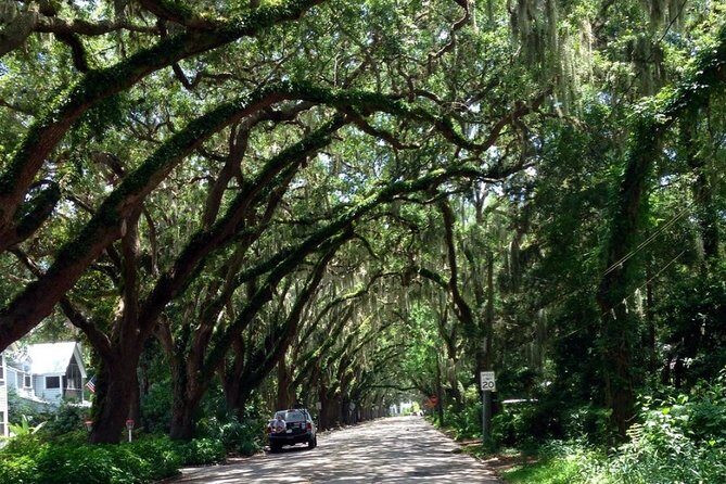 Private Guided Historic Electric Cart Tour of St. Augustine - The Sum Up: Who Should Book This Tour?