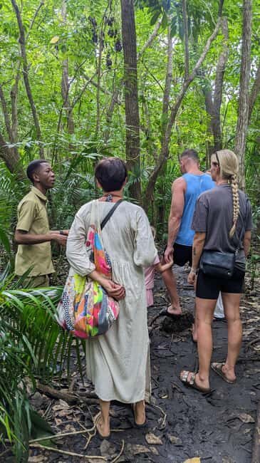 Private Guided Jozani Forest and Stone Town with Tickets - Final Thoughts