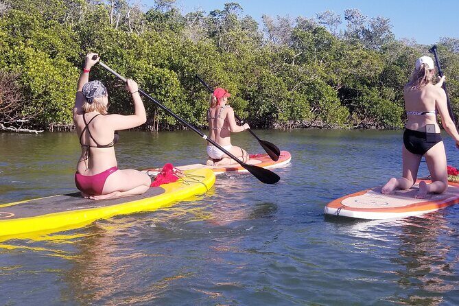 Private Guided Kayak Tour on Big Hickory Pass - A Closer Look at the Experience