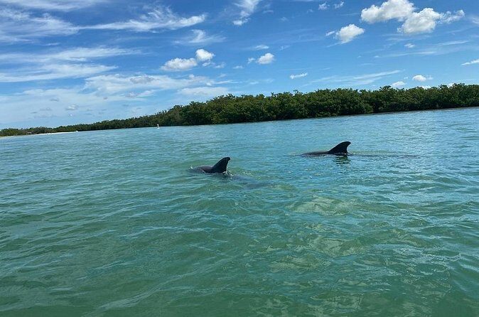 Private Guided Kayak Tour on Big Hickory Pass - Why You Should Consider This Tour