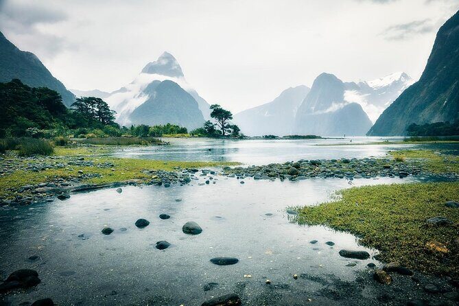 Private Guided Milford Sound Tour ex Queenstown - Final Thoughts: Who Should Consider This Tour?