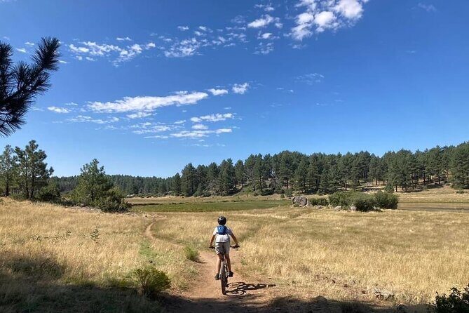 Private Guided Mountain Bike Lesson in San Diego Mountains - An In-Depth Look at the Experience