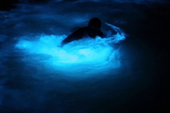 Private Guided Night Tour of Luminous Lagoon in Montego Bay - Key Points