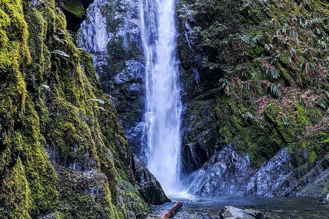 Private Guided Rainforest Hike in Victoria - FAQ