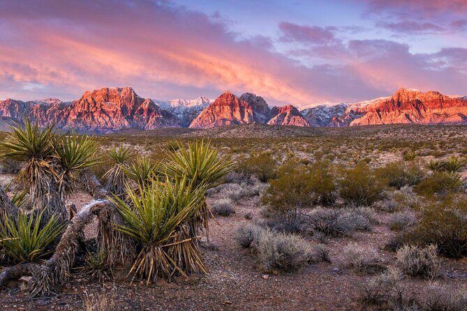 Private Guided Red Rock Tour On A CanAm Trike - A Practical Look at the Private Guided Red Rock Tour on a CanAm Trike