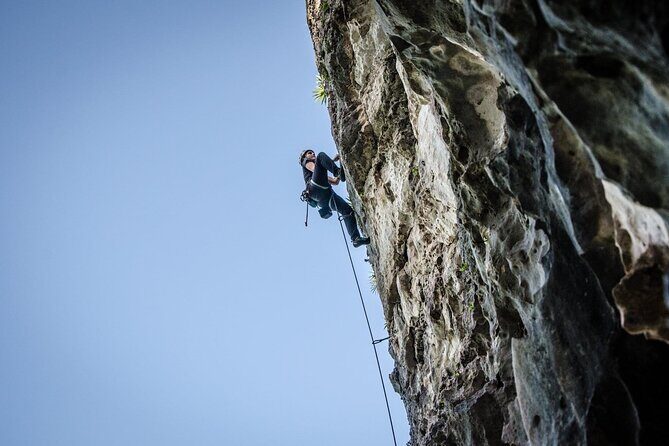 Private Guided Rock Climbing Trips in Puerto Rico - Key Points
