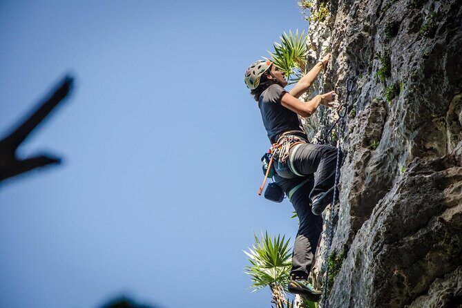 Private Guided Rock Climbing Trips in Puerto Rico - The Sum Up: Is It Worth It?