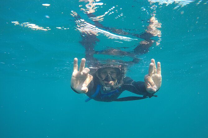 Private Guided Snorkeling in Cabo San Lucas - Final Thoughts: Is It Worth It?