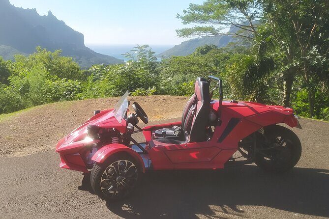 Private Guided Tour around the Moorea Island - Introduction