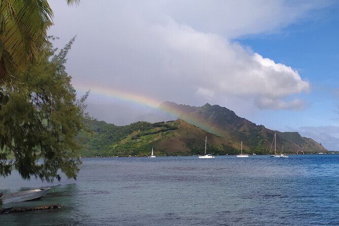 Private Guided Tour around the Moorea Island - An Authentic Way to Discover Moorea