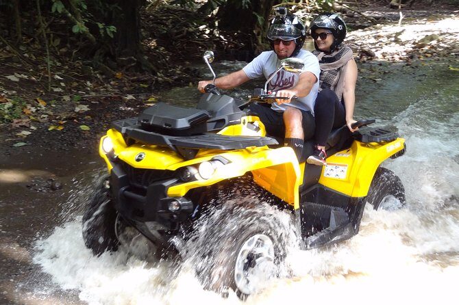 Private Guided Tour around the Moorea Island - What to Expect During the Tour
