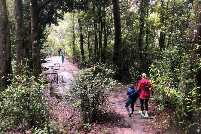 Private Guided Tour from Sydney to Blue Mountains National Park - Practical Details and Travel Tips