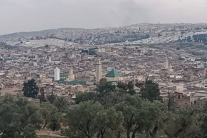 Private Guided Tour in Fez Medina - FAQ