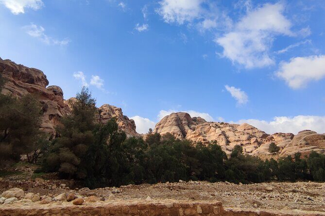Private Guided Tour in Petra with licensed guide - Practical Details and Logistics