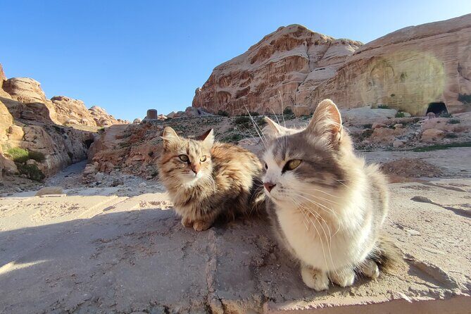 Private Guided Tour in Petra with licensed guide - Final Thoughts