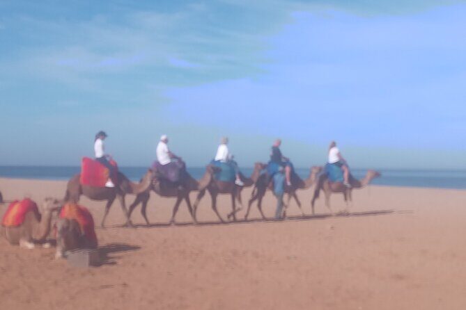 Private Guided Tour in Tangier - FAQs