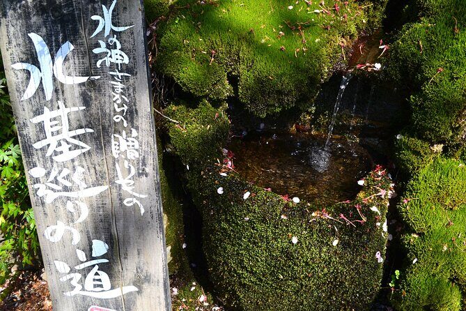 Private guided tour: Mt. Aso volcano, grasslands, Aso Shrine - Who Will Love This Tour?