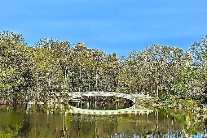Private Guided Tour of Central Park - An In-Depth Look at the Tour