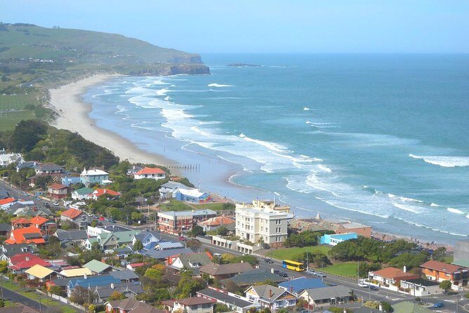 Private Guided Tour of Dunedin City Heritage and Unique Wildlife and Scenery - Key Points