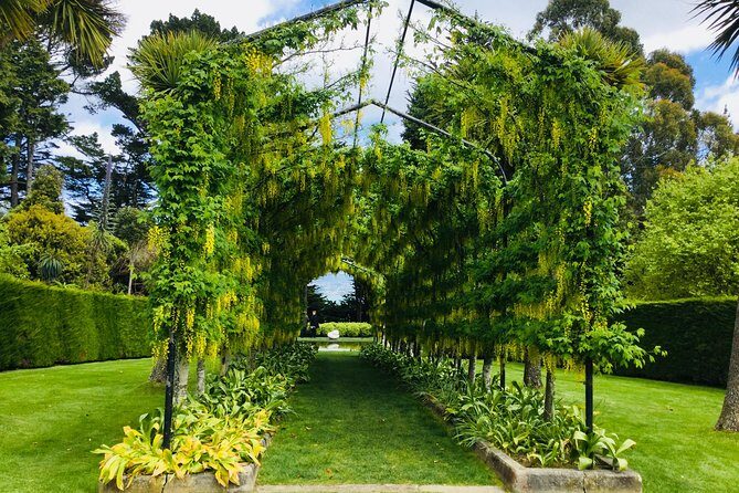 Private Guided Tour of Dunedin City Heritage and Unique Wildlife and Scenery - Who Should Consider This Tour?